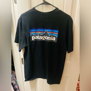 Patagonia tee